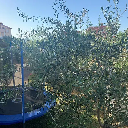 Appartement Ulika - 3 For 4 Persons Pula