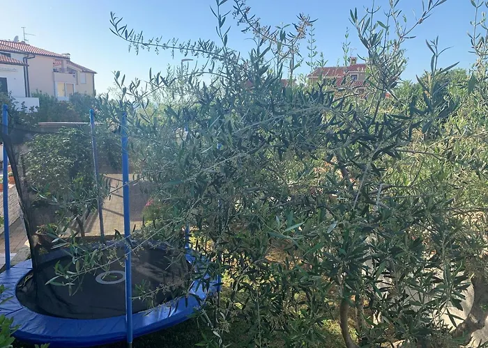 Διαμέρισμα Ulika - 3 For 4 Persons Πούλα